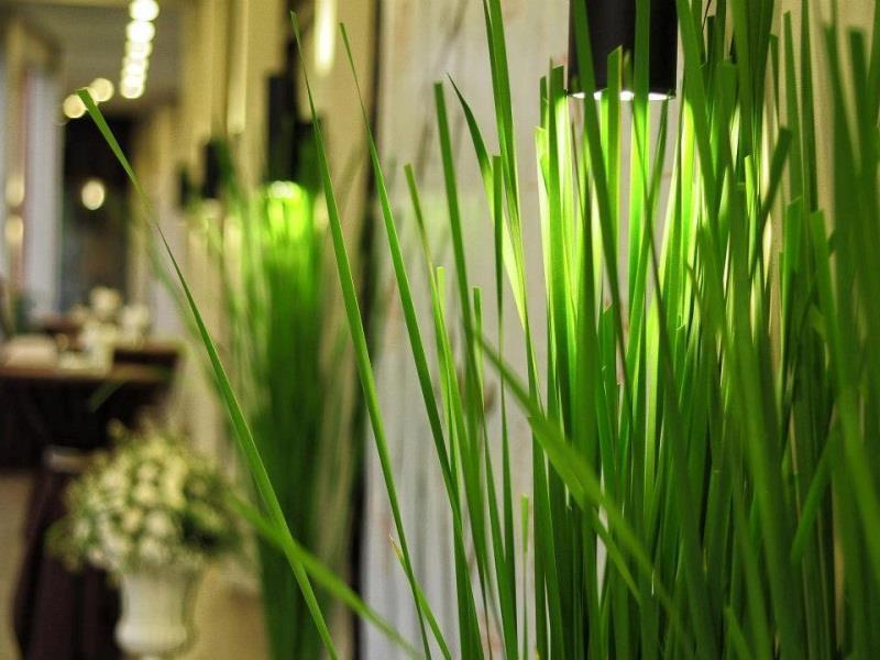 Ariana Hotel Dipolog Ngoại thất bức ảnh
